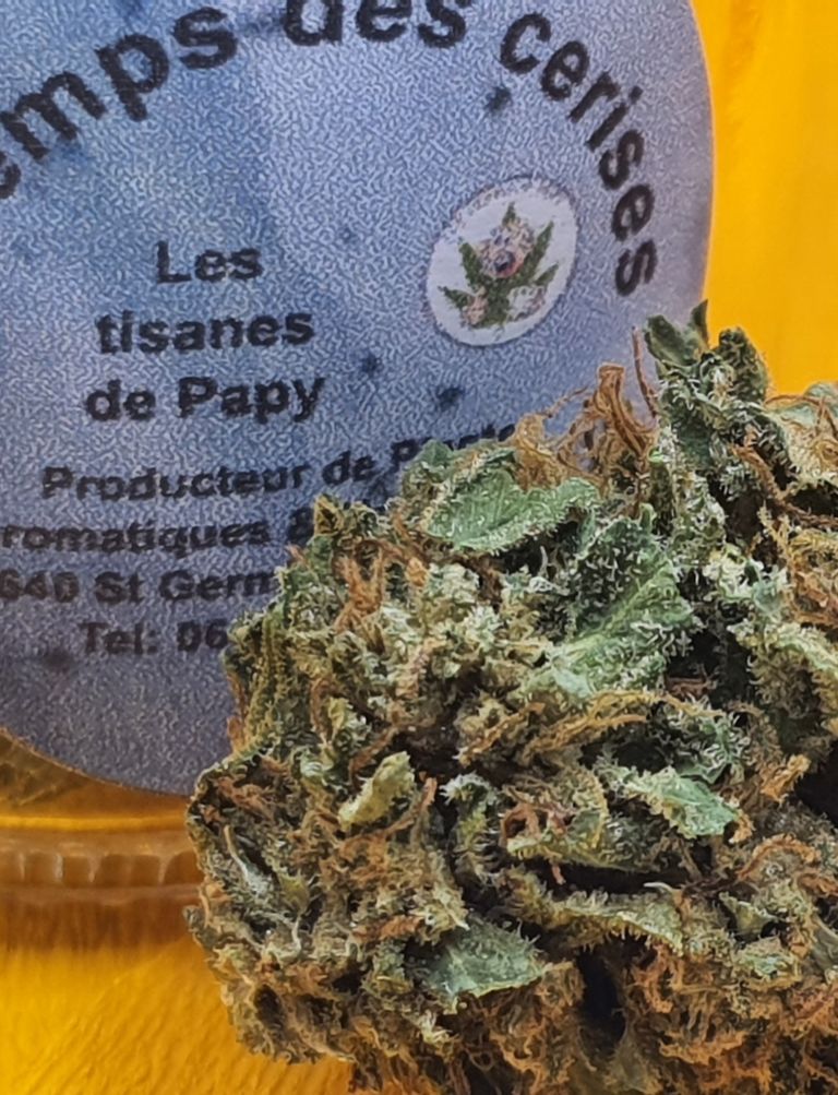  fleurs cbd a fumer sont cultivées à l'extérieure 